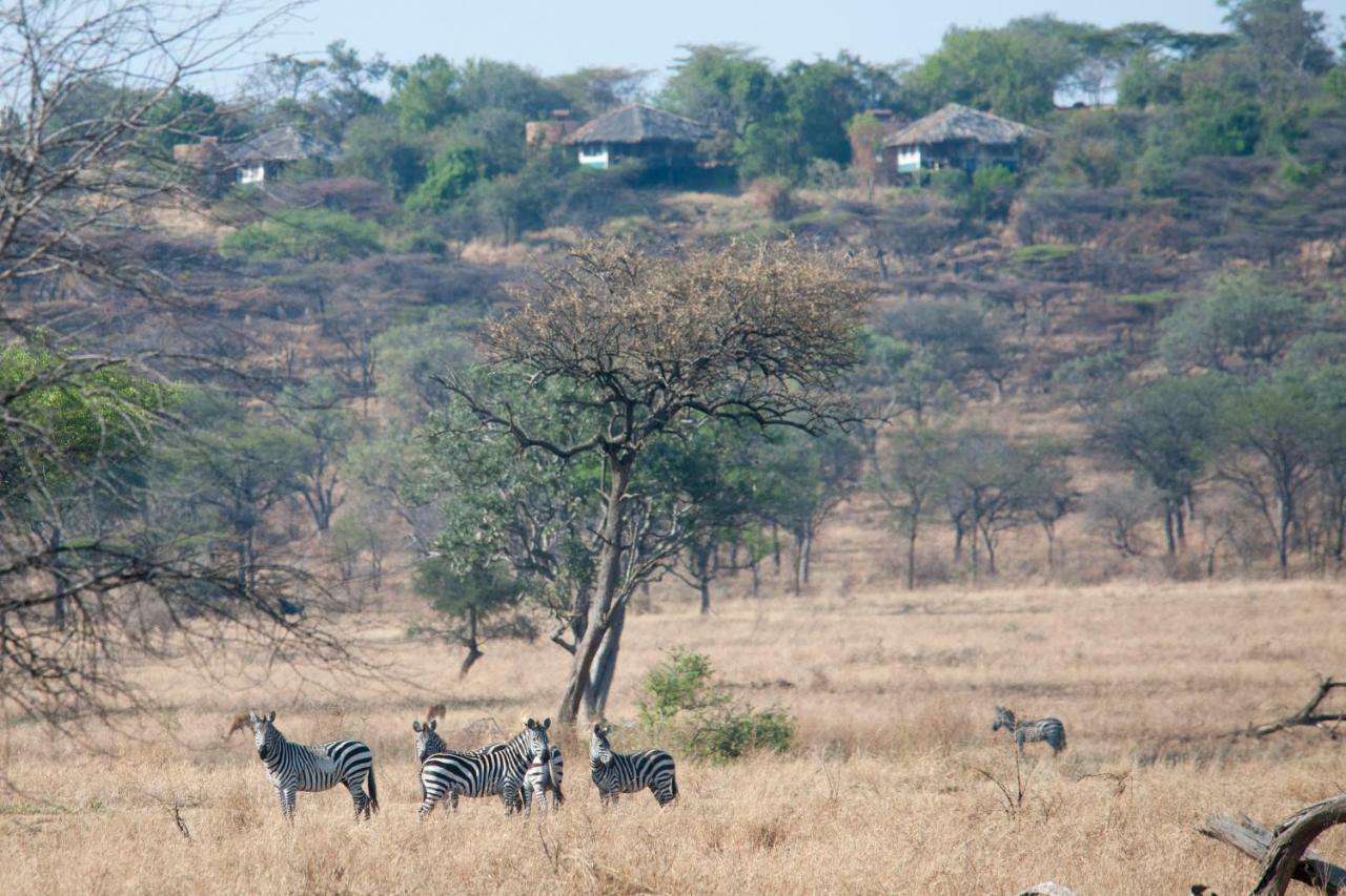 Mbalageti Serengeti-Savanne Exterior foto